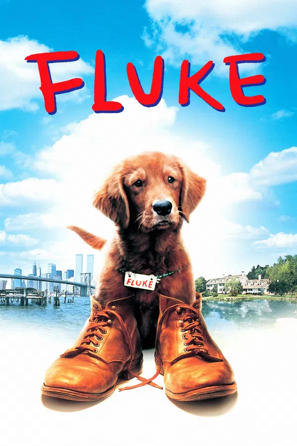 Xem Phim Chú Chó Fluke Vietsub HD Online