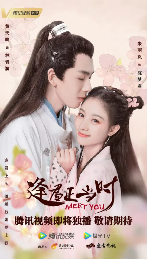 Xem Phim Gặp Chàng Đúng Lúc Vietsub HD Online