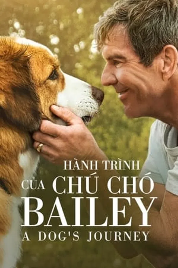 Xem Phim Hành Trình Của Chú Chó Bailey Vietsub HD Online