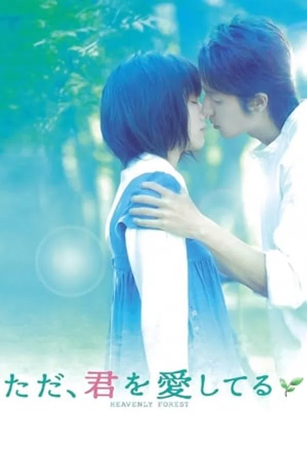 Xem Phim Tấm Ảnh Tình Yêu Vietsub HD Online
