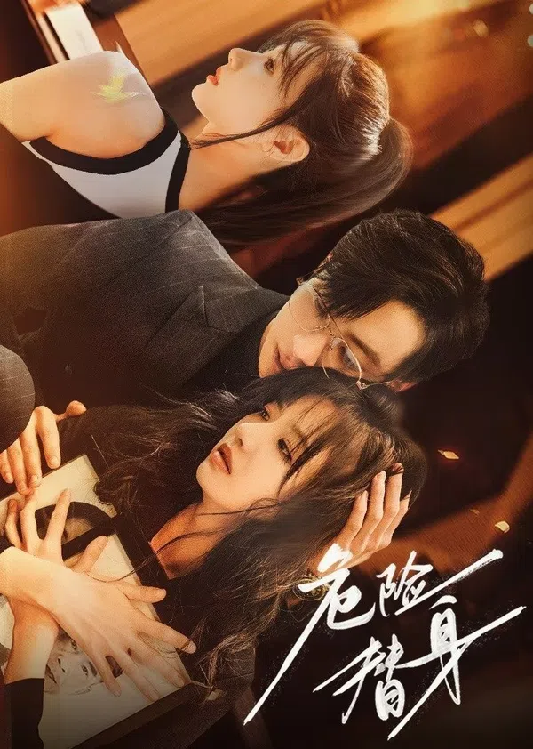 Poster phim Thế Thân Nguy Hiểm trên Xem Phim Fun
